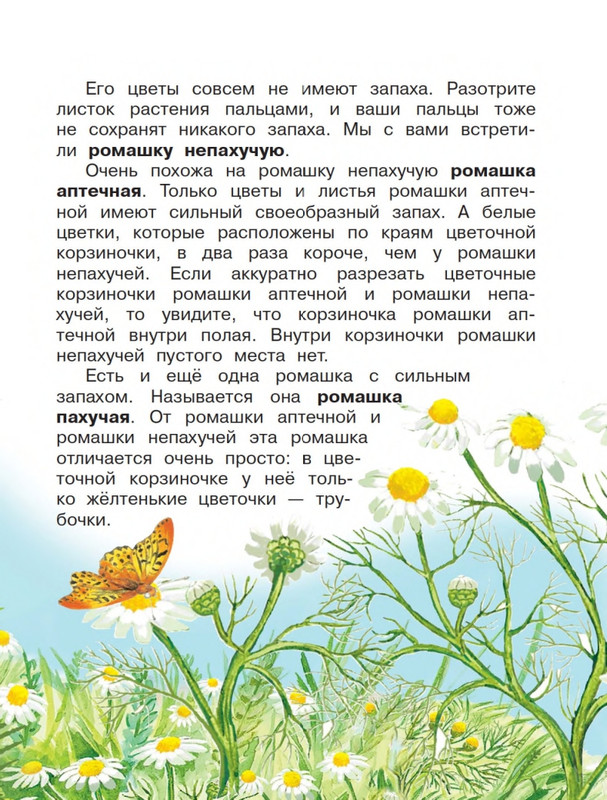 Onegov-Anatolij-Pochemu-kukushka-slozki-lot-page-0024