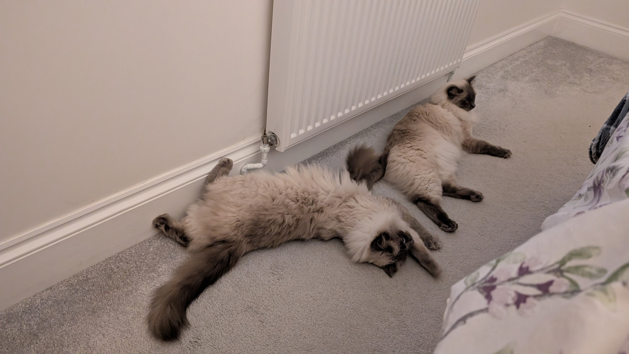 PXL 20251123 074532784