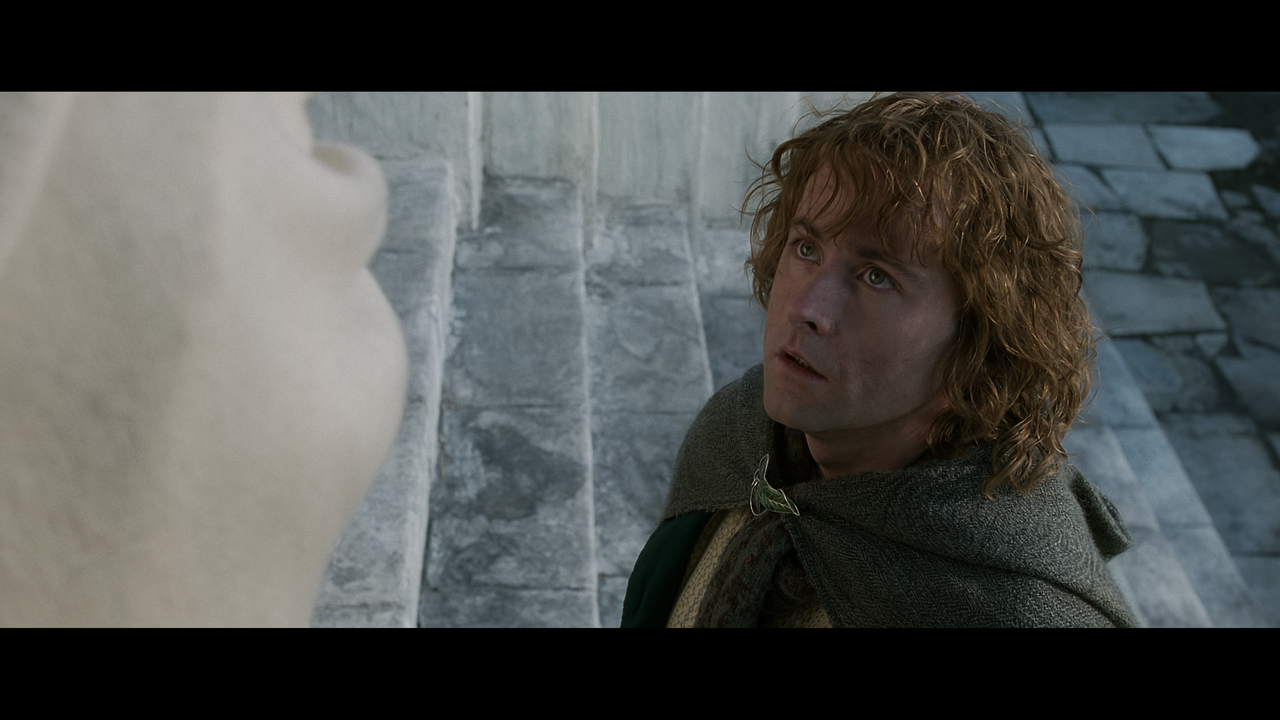 The Lord of the Rings- The Return of the King (EXT.) PT. 1.mkv_snapshot_00.44.17_[2020.12.15_18.43.2