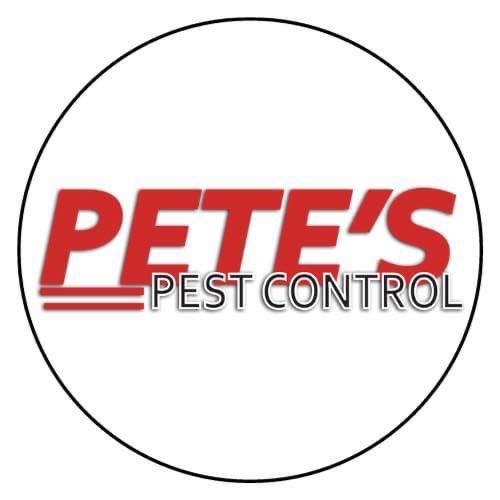 Bed Bug Removal