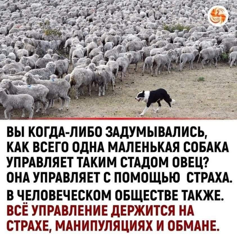 [Изображение: 7ccf2783950e47b4f2a9ae8c3c32c2ee.jpg]