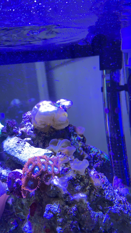 BEEE938E-4D22-43C9-B1AB-582F757729EC