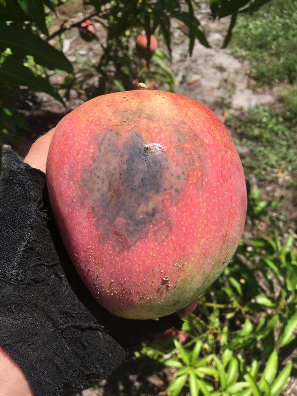 B53F7B73-C6BA-4A5E-9D7D-1FCA0BE6FC73