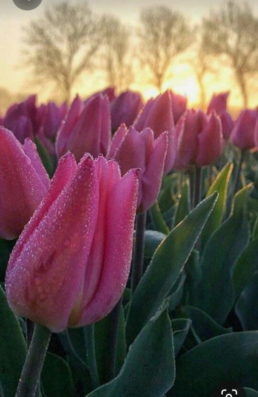 Screenshot_20230614_004730_Pinterest