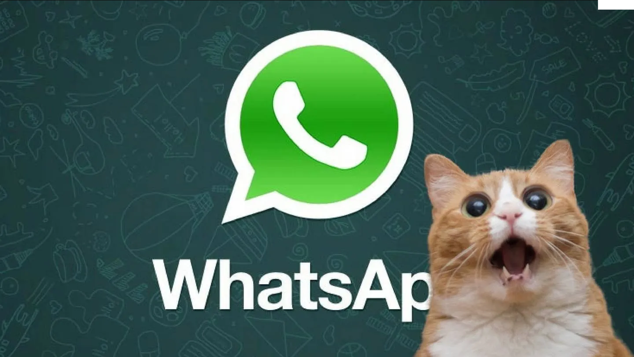 WhatsApp: Así podrás convertir cualquier video en un GIF