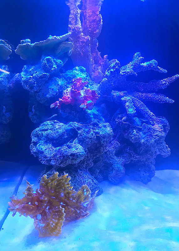 1AAF0170-5F79-44E4-8E44-5E5A6F9CD68A