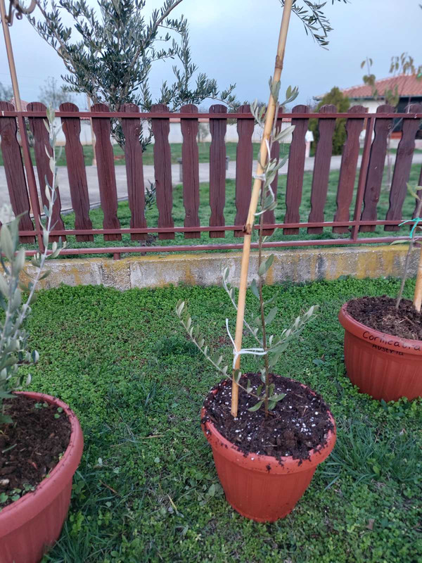 0 02 05 01a4226134e8a9b1fc3a649fdc137a149454b36646cc7fb37621e10b406b2a51 d9c85fc4cb44a802