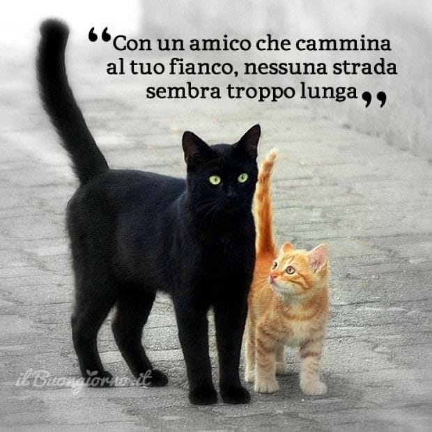 8D995CE9-826E-40C8-B08A-0551551DEDC3