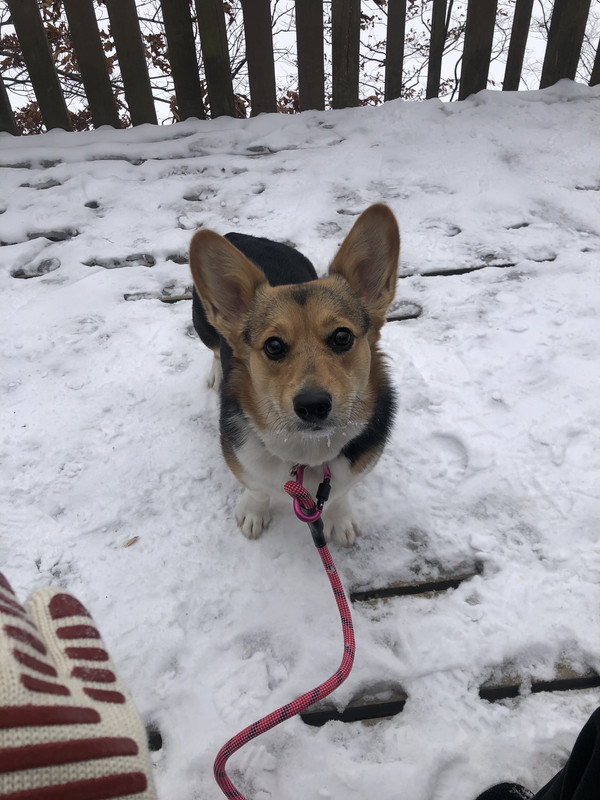 30679E3F-A314-435A-A58D-3092EB9B85F4