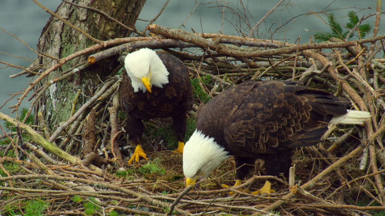 vlcsnap-2022-10-11-10h46m30s061