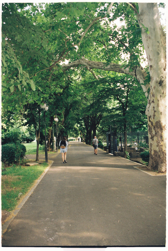 R1-09355-012-A.jpg