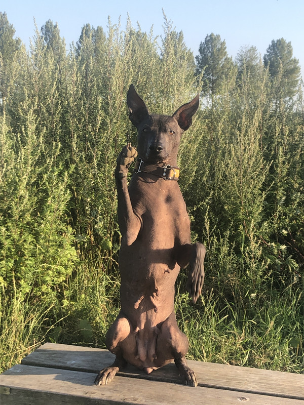 783B285D-BAD3-4B45-A452-4C73AD9D5896