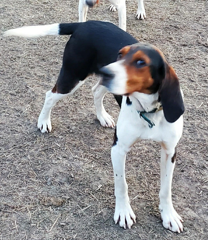 33B26D7D-80E1-43C7-B91B-40E9845C1614