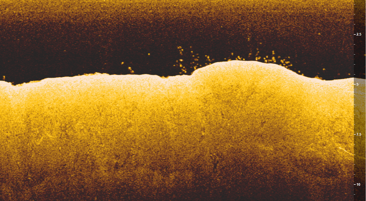 Безымянный1