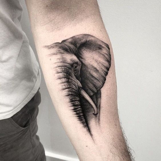 elephanttatoo