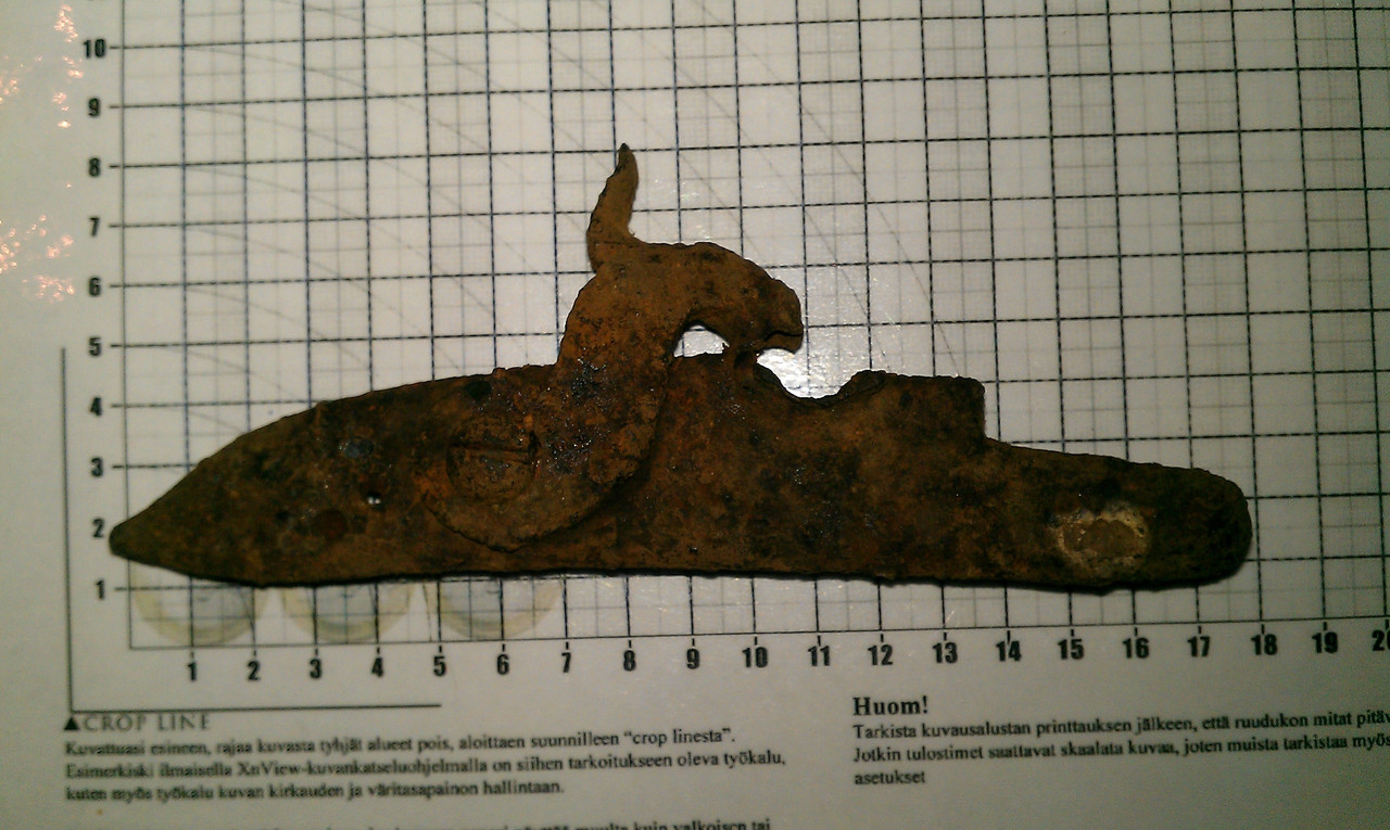 IMAG0556