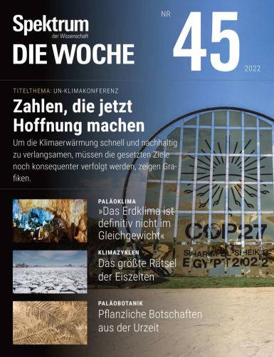 Cover: Spektrum der Wissenschaft Die Woche November No 45 2022