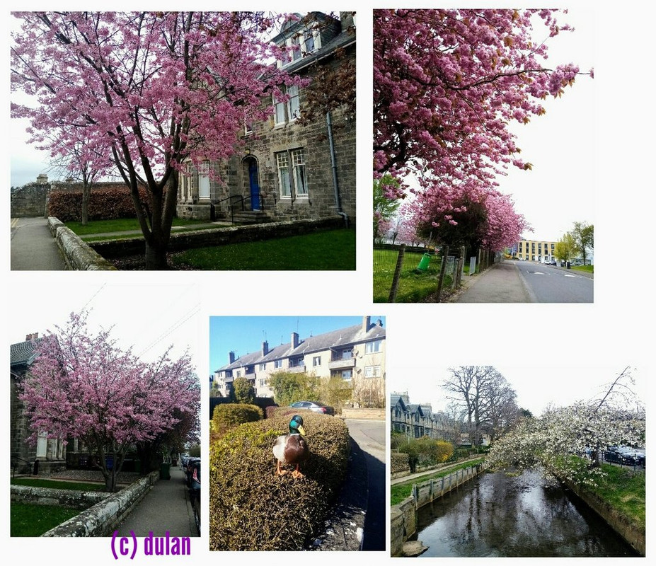 IMG_20230508_222806 (1)