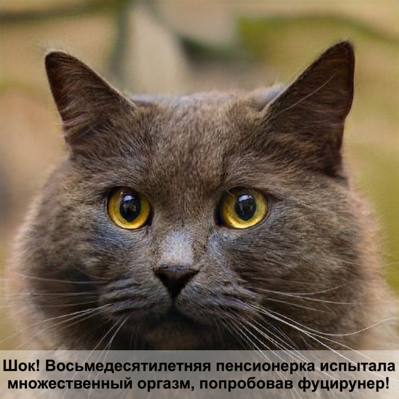 как подстричь когти коту ножницами