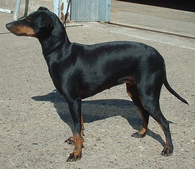 Afbeelding