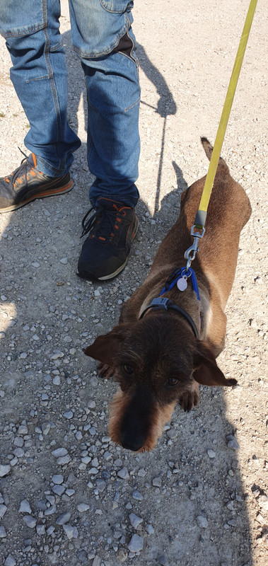 [Image: 20230706-182049.jpg]