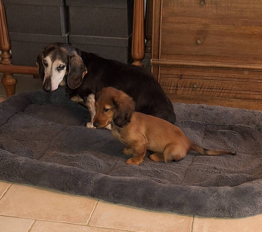 [Image: 20240909-185852.jpg]