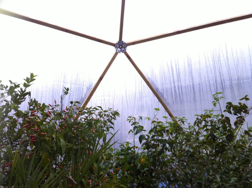 DB822AD0-29C4-404B-9DCA-B029745934BB_1_105_c