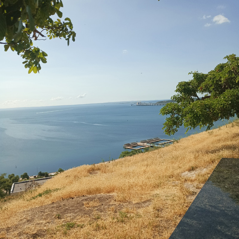 zo-Eq-W0qitx30-QWlj-PSYqpu-ES6o9z-YVr-Jy