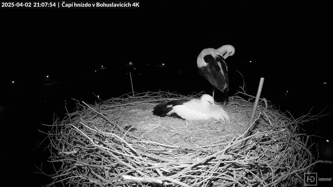 Tiešraidē no uzņēmuma KARA stārķa skursteņa Bohuslavicē pie Trutnovas 12-53-44 screenshot