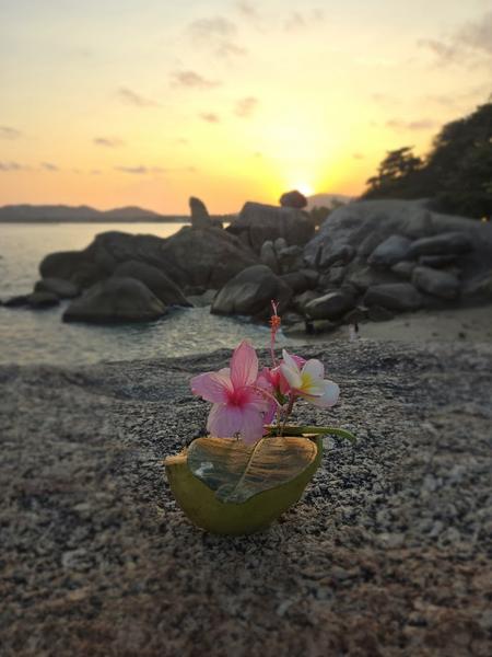 Koh Samui, feb 2026