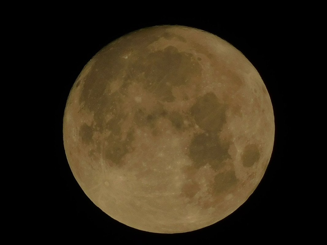 Дачное осеннее и продажа 002