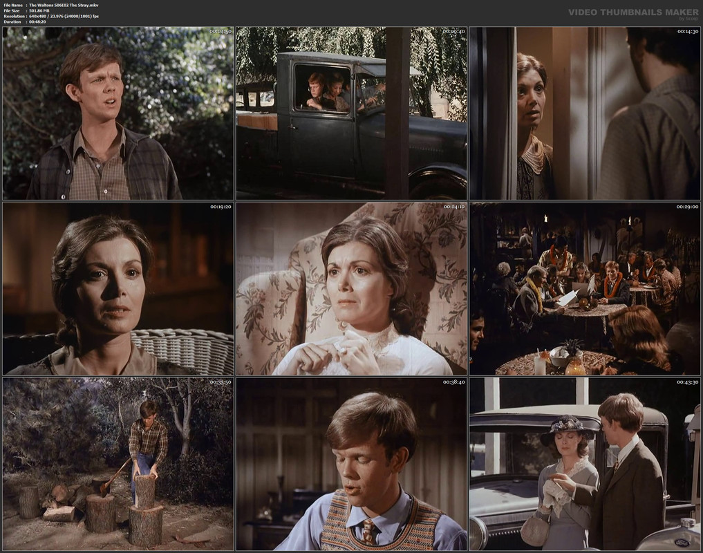 The Waltons S06E02 The Stray.mkv