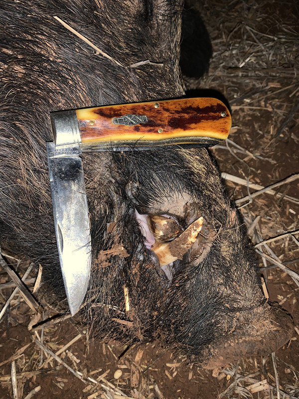 4BE4A677-7971-47A0-B470-0B2EE49CB37D