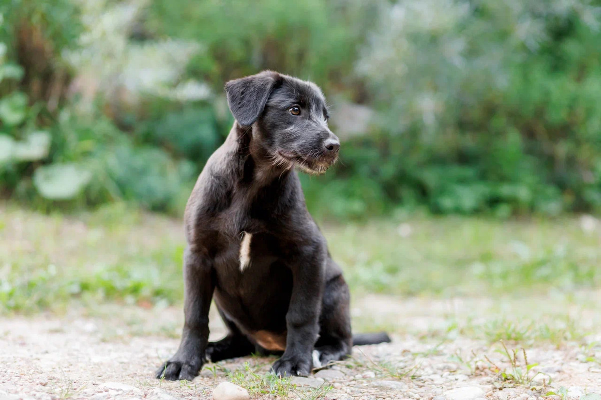 resize-image-online.com_7jpg_JTNoGBzY