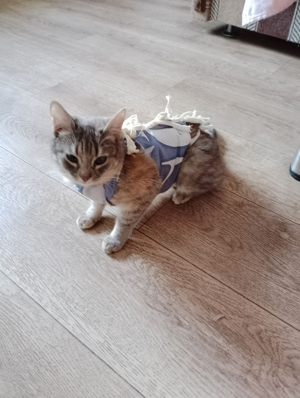 изображение_viber_2024-02-29_21-55-58-407