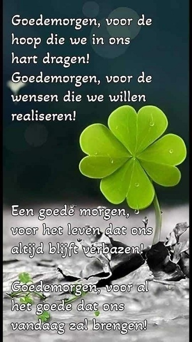 Goede-grote