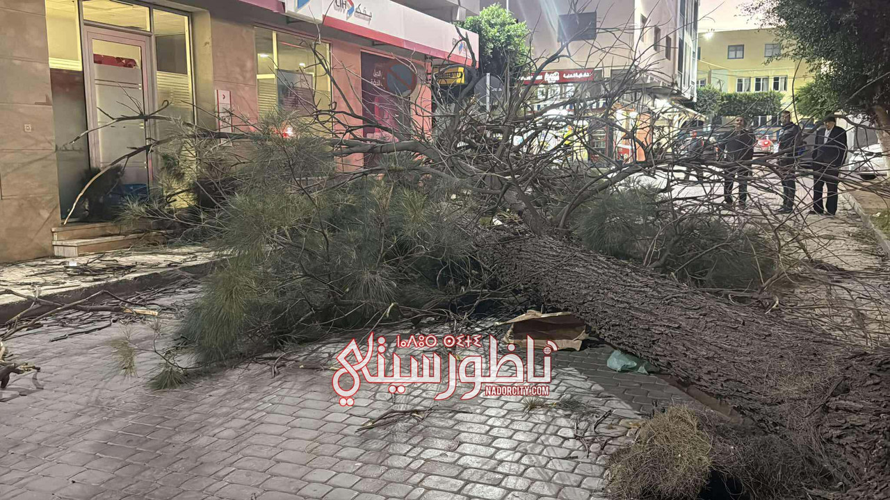 566525099-1574314990402226-3638473352374722564-n