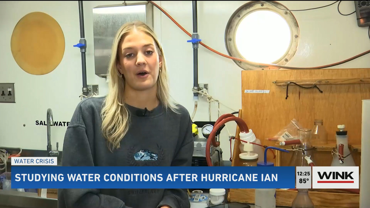 10.24 - 17.00.00 - The WINK Noon News  ᴺᵉʷ. Midday news update..ts_snapshot_32.11.896