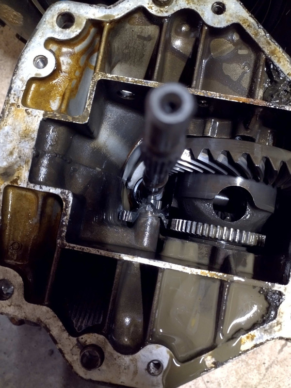 IMG_20250208_093058742