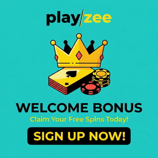 playzee (2)