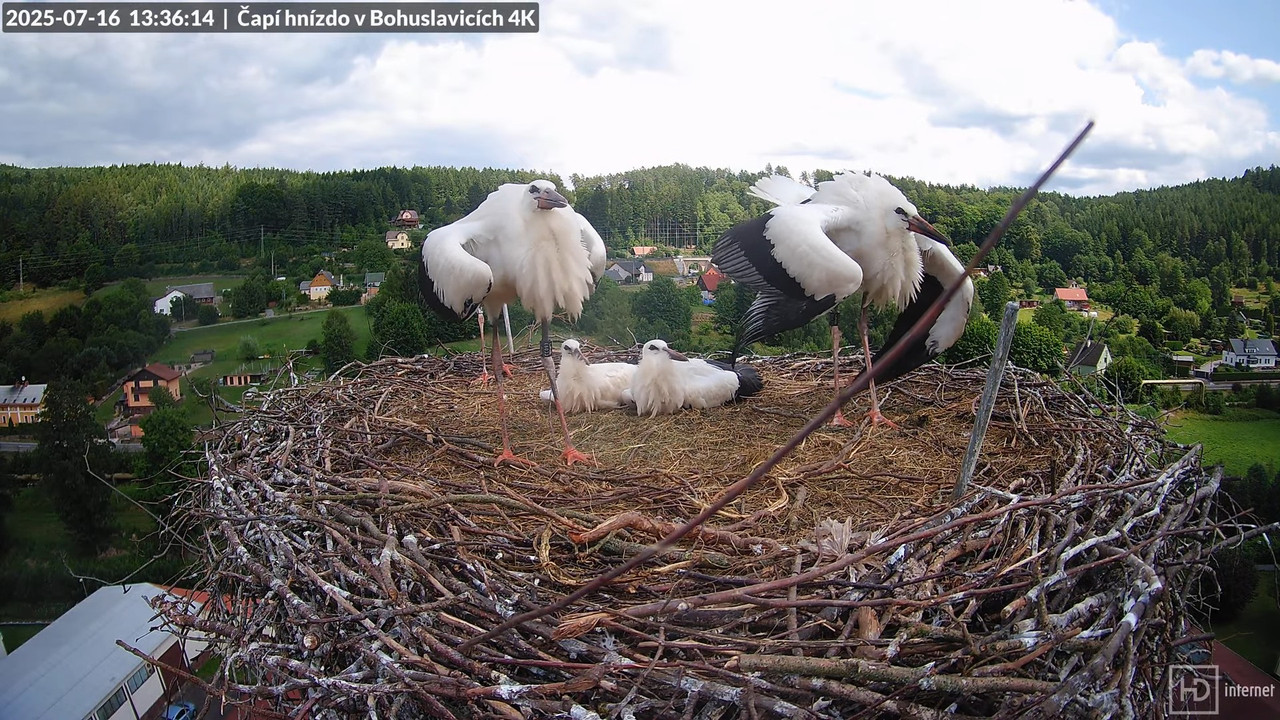 Tiešraide no KARA uzņēmuma stārķu skursteņa Bohuslavicē netālu no Trutnovas 4-14-29 screenshot (1)