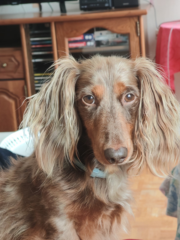 [Image: IMG-20250914-153437.jpg]