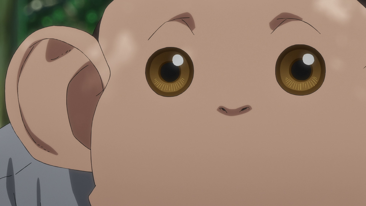 vlcsnap 2026 01 06 18h04m37s024