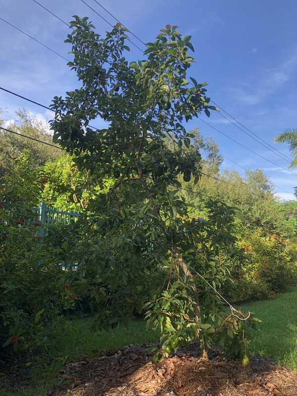 94FB86B3-1644-43A2-A482-DF2552295E40