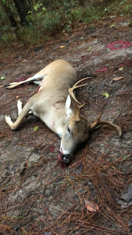 5B3E1B0C-F1F9-4BB7-A7B8-5190DBCB1DD5