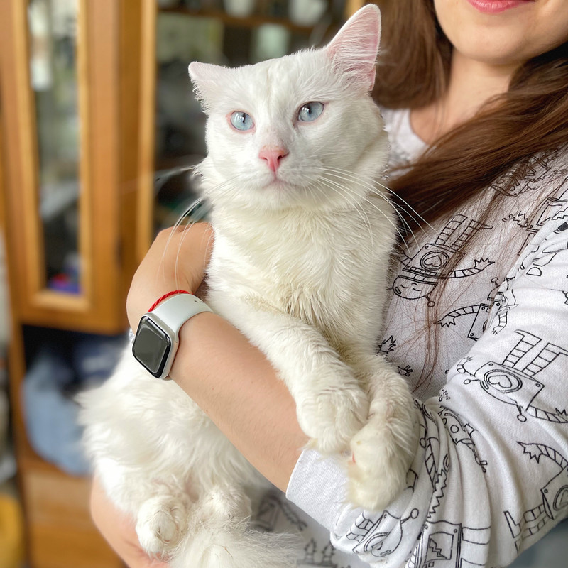 DA021FC3-4CA1-4A8C-95A5-8A5DB3E4117E