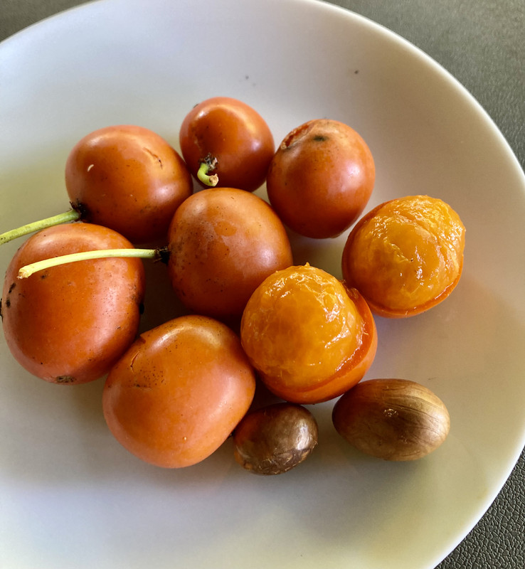 28E947AF-B2E2-43AC-8DC9-DEF5FE19A7F2