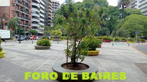 fotopalermoplazaguadalupe3