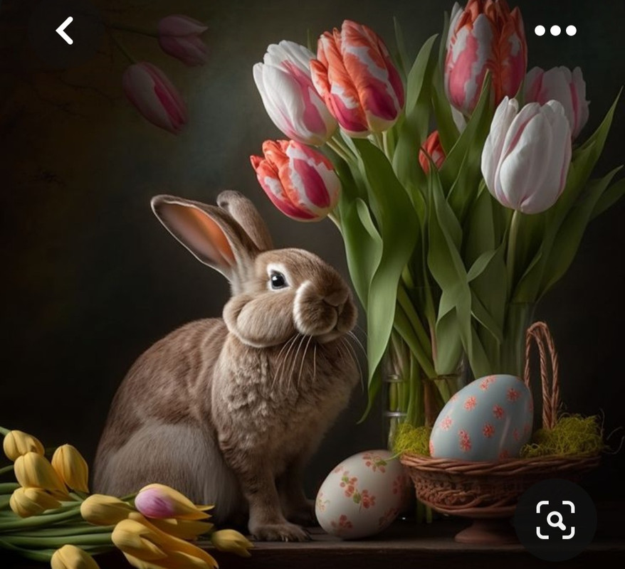 Screenshot_20230415_235219_Pinterest