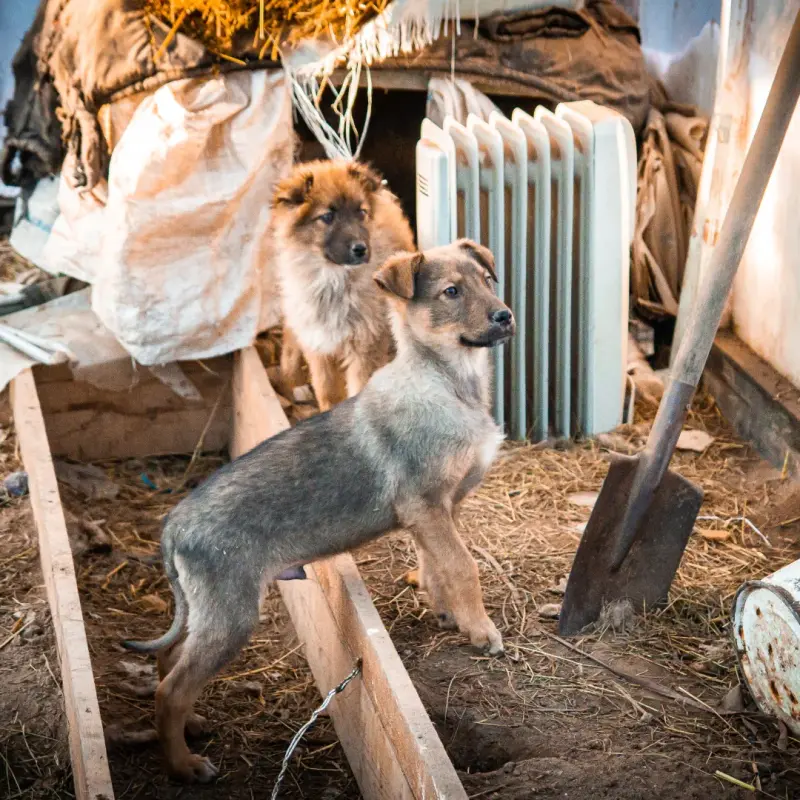 IMG_20230102_164432_281